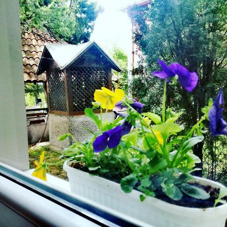 Maslina Rooms 斯梅代雷沃 外观 照片
