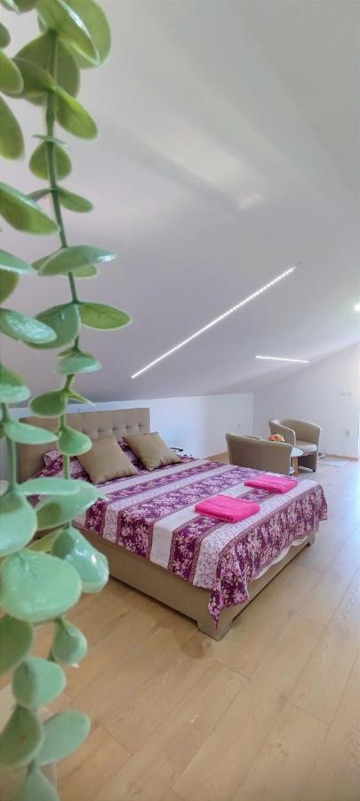 Maslina Rooms 斯梅代雷沃 外观 照片